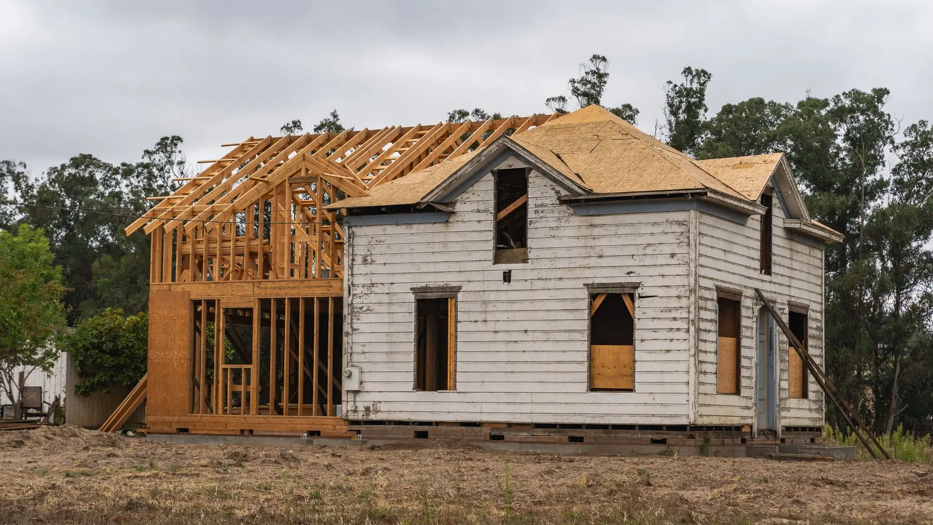 Agrandissement à ossature de bois greffé sur une maison de bois existante : les fermes du nouveau toit sont posées, les ouvertures de l'ancien mur sont condamnées au contreplaqué.